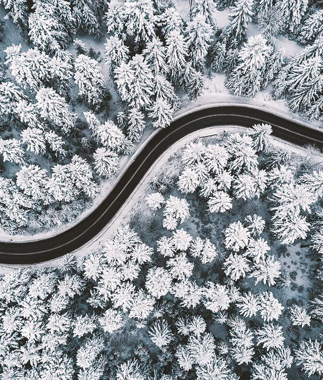 Winter landscape with winding road through snow covered forest
